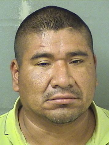  FERALDO PEREZGODINEZ Results from Palm Beach County Florida for  FERALDO PEREZGODINEZ