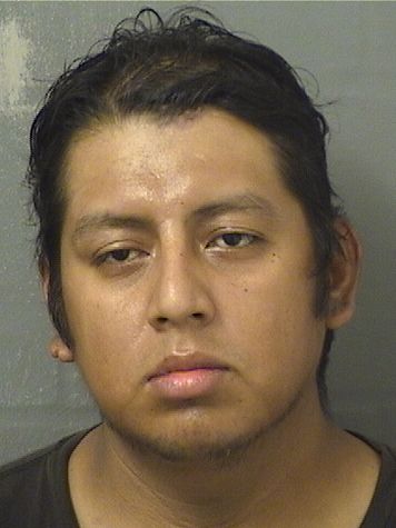  JOSE MIGUEL HERNANDEZ Results from Palm Beach County Florida for  JOSE MIGUEL HERNANDEZ