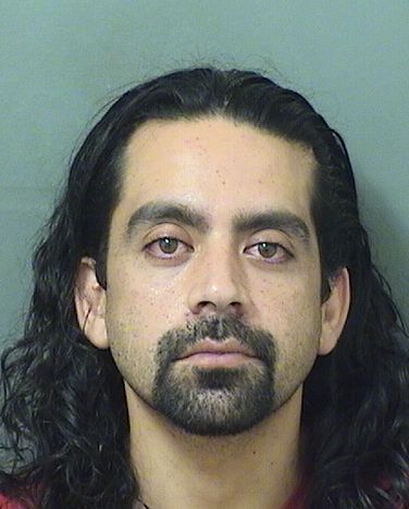  ESTEFANO ALEJANDRO ABEDRABBOMESIAS Results from Palm Beach County Florida for  ESTEFANO ALEJANDRO ABEDRABBOMESIAS