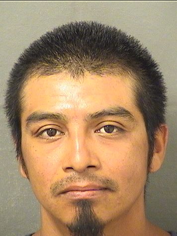  FRANCISCO MATEO Resultados de la busqueda para Palm Beach County Florida para  FRANCISCO MATEO