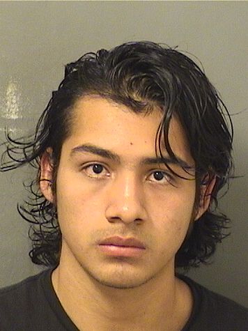  EDWIN ROLANDO GOMEZ Results from Palm Beach County Florida for  EDWIN ROLANDO GOMEZ