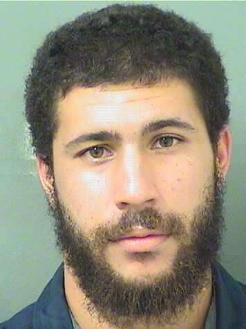  MICHAEL A GIANNETTO Results from Palm Beach County Florida for  MICHAEL A GIANNETTO