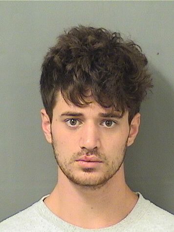  WILLIAM BRENT BRUMFIELD Results from Palm Beach County Florida for  WILLIAM BRENT BRUMFIELD