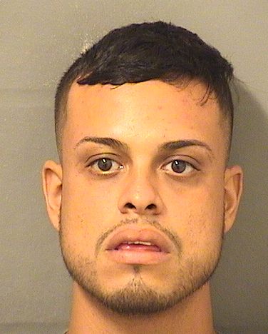  RAFAEL PEREIRA Resultados de la busqueda para Palm Beach County Florida para  RAFAEL PEREIRA