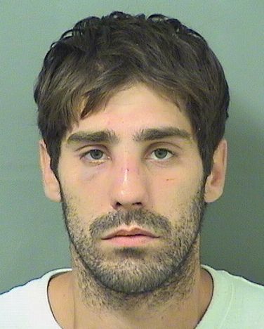  JAMES WILLIAM BASS Results from Palm Beach County Florida for  JAMES WILLIAM BASS