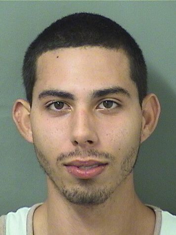  ALEXANDER DANIEL ACEVEDO Results from Palm Beach County Florida for  ALEXANDER DANIEL ACEVEDO