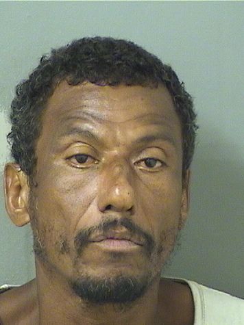  LUIS ANTONIO PENA Results from Palm Beach County Florida for  LUIS ANTONIO PENA