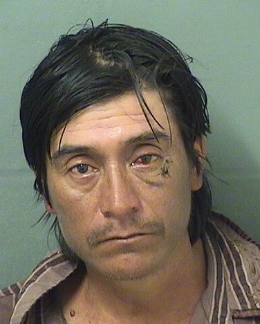 ANTELMO MORALESVELASQUEZ Results from Palm Beach County Florida for ANTELMO MORALESVELASQUEZ ANTELMO MORALESVELASQUEZ Results from Palm Beach County Florida for ANTELMO MORALESVELASQUEZ