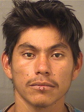  LUIS ALONSO HERNANDEZALFARO Resultados de la busqueda para Palm Beach County Florida para  LUIS ALONSO HERNANDEZALFARO