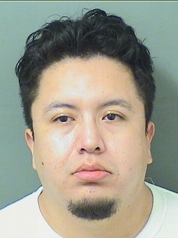  IVAN LEONE HERNANDEZGONZALEZ Results from Palm Beach County Florida for  IVAN LEONE HERNANDEZGONZALEZ