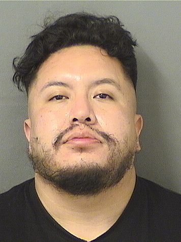  IVAN LEONE HERNANDEZGONZALEZ Results from Palm Beach County Florida for  IVAN LEONE HERNANDEZGONZALEZ