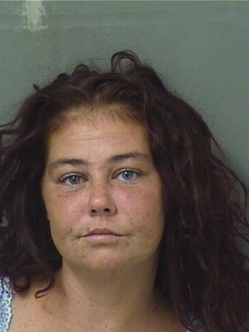  ASHLIE ANN KLINGHAMMER Results from Palm Beach County Florida for  ASHLIE ANN KLINGHAMMER