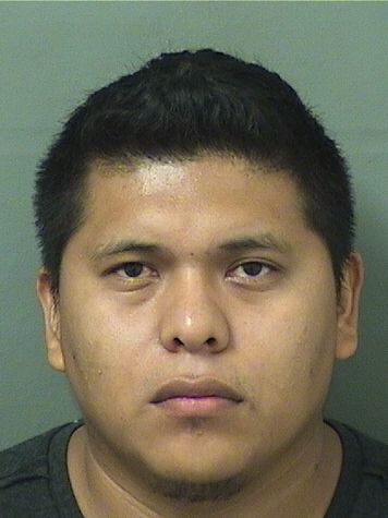  DONALDO OTONIEL PEREZCARBAJAL Results from Palm Beach County Florida for  DONALDO OTONIEL PEREZCARBAJAL