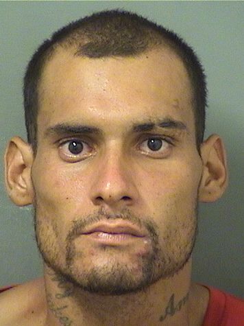  JULIAN ROSA Resultados de la busqueda para Palm Beach County Florida para  JULIAN ROSA