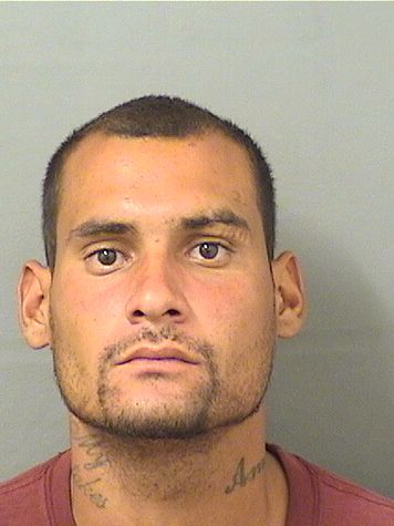  JULIAN ROSA Results from Palm Beach County Florida for  JULIAN ROSA