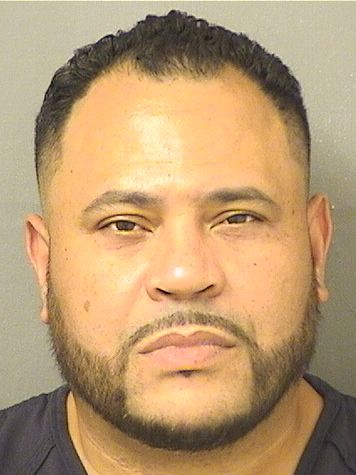  LEWIS FELIPE ANDINO Results from Palm Beach County Florida for  LEWIS FELIPE ANDINO