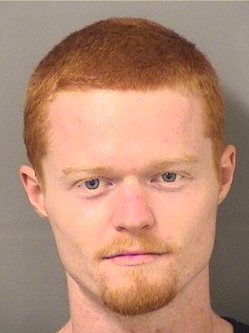  DANIEL GIDEON LENEVE Results from Palm Beach County Florida for  DANIEL GIDEON LENEVE