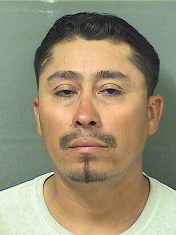  JOSE GUADALUPE TORRES Results from Palm Beach County Florida for  JOSE GUADALUPE TORRES