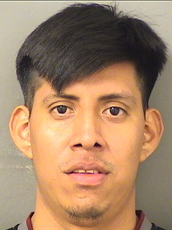  GEDALIAS TEODORO VICENTE VICENTE Results from Palm Beach County Florida for  GEDALIAS TEODORO VICENTE VICENTE