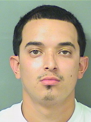  BRYANT SEPULVEDA Results from Palm Beach County Florida for  BRYANT SEPULVEDA