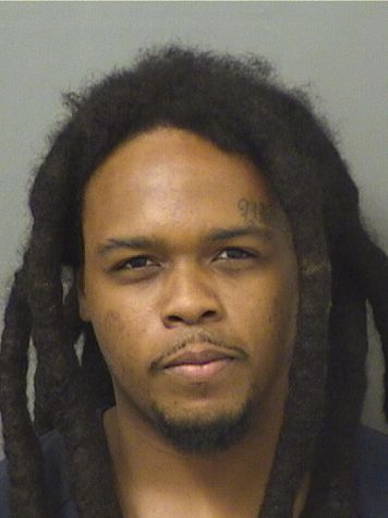  CRAIG ETHAN II JACKSON Results from Palm Beach County Florida for  CRAIG ETHAN II JACKSON