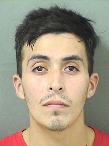  MARCELINO  Jr VEGA Results from Palm Beach County Florida for  MARCELINO  Jr VEGA