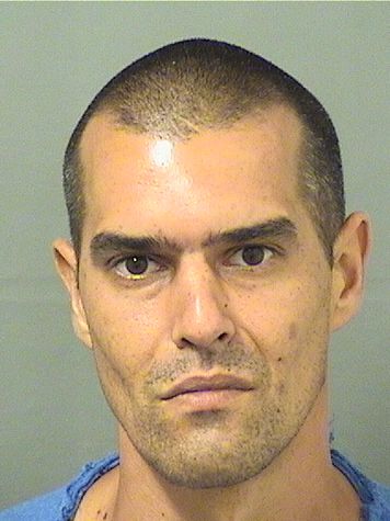  MATTHEW C DALTON Results from Palm Beach County Florida for  MATTHEW C DALTON