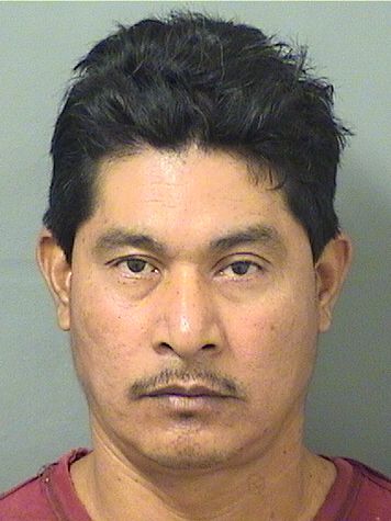 ALEJANDRO CESAR JIMINEZ Results from Palm Beach County Florida for ALEJANDRO CESAR JIMINEZ ALEJANDRO CESAR JIMINEZ Results from Palm Beach County Florida for ALEJANDRO CESAR JIMINEZ