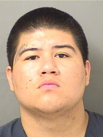  JOSE MANUEL CALDERON Results from Palm Beach County Florida for  JOSE MANUEL CALDERON