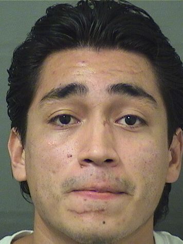  GIOVANNI LOPEZ Results from Palm Beach County Florida for  GIOVANNI LOPEZ