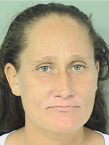  HEATHER MARIE ELLICK Results from Palm Beach County Florida for  HEATHER MARIE ELLICK