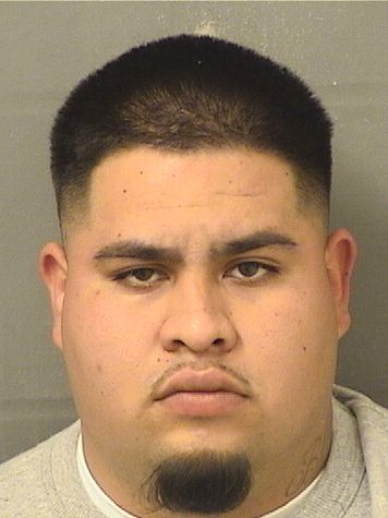  JOSUE PINEDAROBLES Resultados de la busqueda para Palm Beach County Florida para  JOSUE PINEDAROBLES