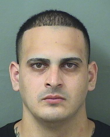  CESAR JAVIER BRITO Results from Palm Beach County Florida for  CESAR JAVIER BRITO