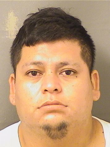  RIGOBERTO BARRON HERNANDEZ Results from Palm Beach County Florida for  RIGOBERTO BARRON HERNANDEZ