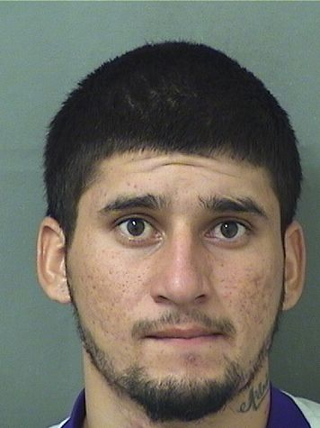  HECTOR P COVARRUVIAS Resultados de la busqueda para Palm Beach County Florida para  HECTOR P COVARRUVIAS