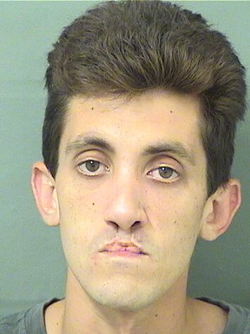  DANIEL VINCENT CIOFFI Results from Palm Beach County Florida for  DANIEL VINCENT CIOFFI