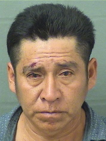  MIGUEL SANCHEZSAVALA Results from Palm Beach County Florida for  MIGUEL SANCHEZSAVALA