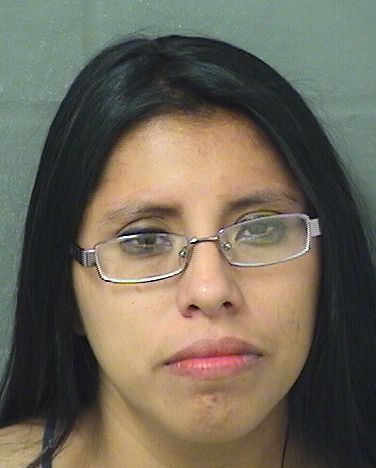  ANGELINA MATIAS Results from Palm Beach County Florida for  ANGELINA MATIAS