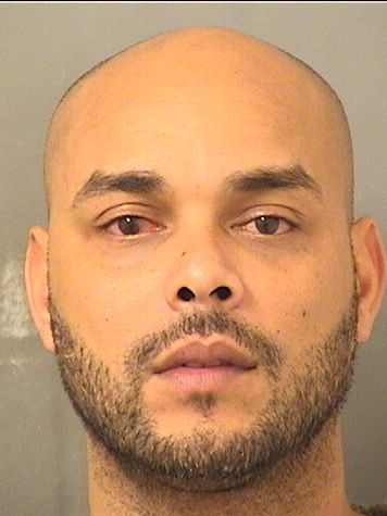  JOEL ALIOSKAR SUAREZ Results from Palm Beach County Florida for  JOEL ALIOSKAR SUAREZ