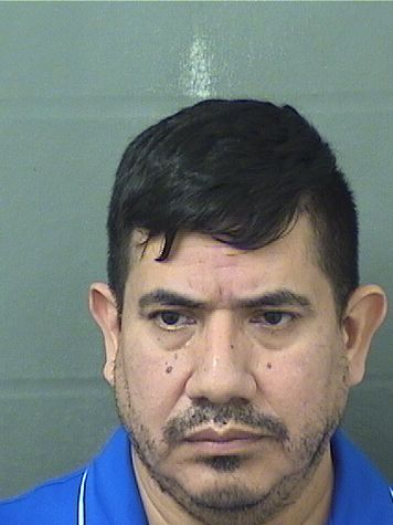  LUIS HERNANDEZLEYVA Results from Palm Beach County Florida for  LUIS HERNANDEZLEYVA