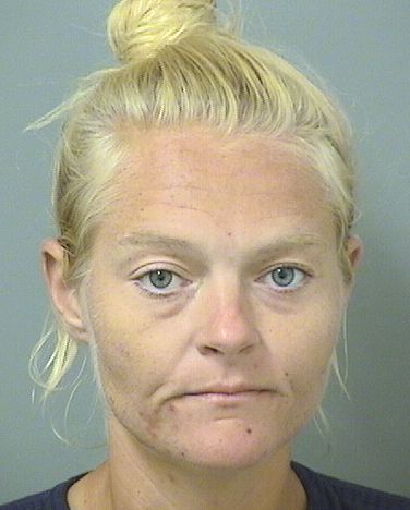  DANIELLE CHERI JOHNSTON Results from Palm Beach County Florida for  DANIELLE CHERI JOHNSTON