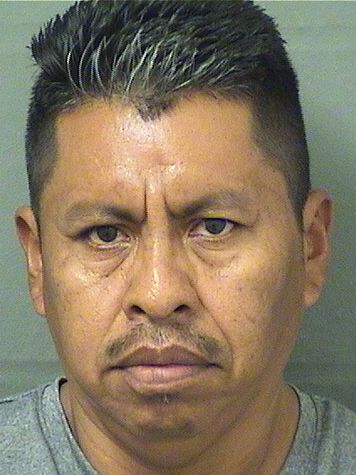  LUIS VILLEGAS Results from Palm Beach County Florida for  LUIS VILLEGAS