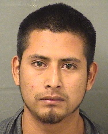  JOSE FIDELINO MORALES Results from Palm Beach County Florida for  JOSE FIDELINO MORALES