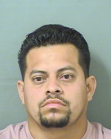  JUAN CARLOS MATEOMARTINEZ Results from Palm Beach County Florida for  JUAN CARLOS MATEOMARTINEZ