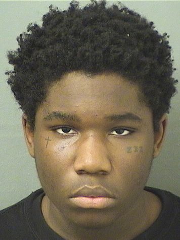  GREGORY STEWARD Results from Palm Beach County Florida for  GREGORY STEWARD