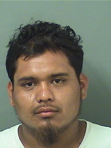  CRISTIAN JOSE CASARRUBIAS Results from Palm Beach County Florida for  CRISTIAN JOSE CASARRUBIAS