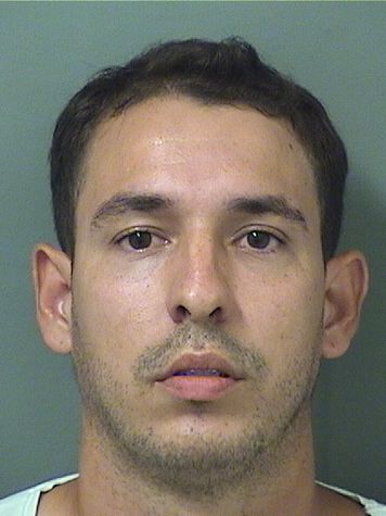  CESAR E GUIHURTREYES Results from Palm Beach County Florida for  CESAR E GUIHURTREYES