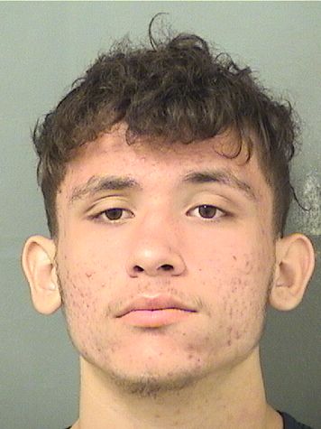 IVANN ALEXANDER POWELL Results from Palm Beach County Florida for IVANN ALEXANDER POWELL IVANN ALEXANDER POWELL Results from Palm Beach County Florida for IVANN ALEXANDER POWELL