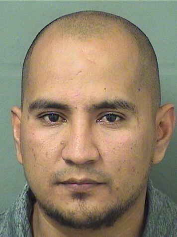  JORGE CERVANTES MALDONADO Results from Palm Beach County Florida for  JORGE CERVANTES MALDONADO