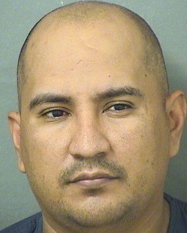  JORGE MALDONADOCERVANTES Resultados de la busqueda para Palm Beach County Florida para  JORGE MALDONADOCERVANTES